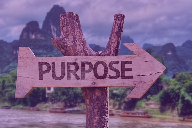 Alignment with purpose blog image 1