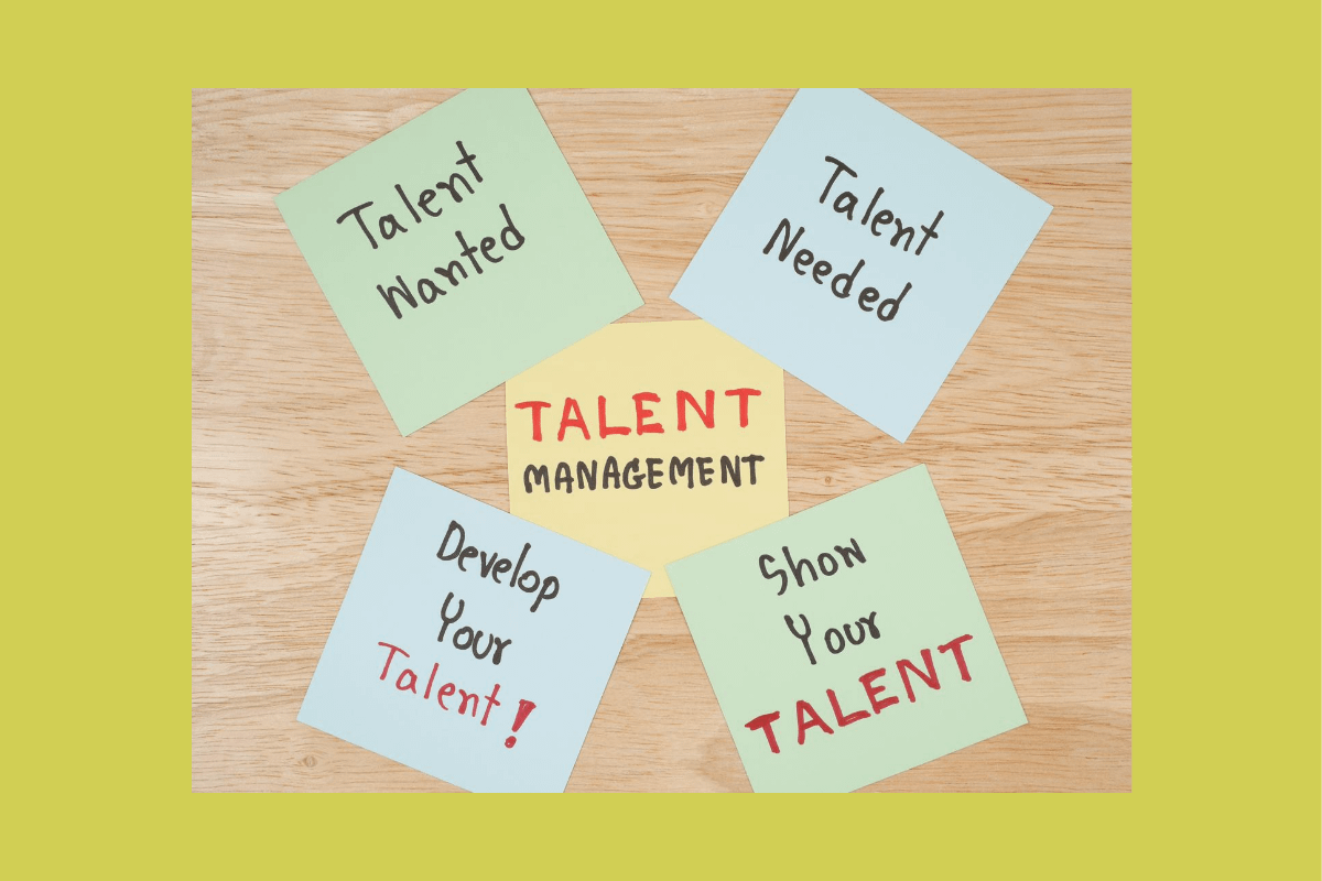 Skills and Talent Blog Image 2